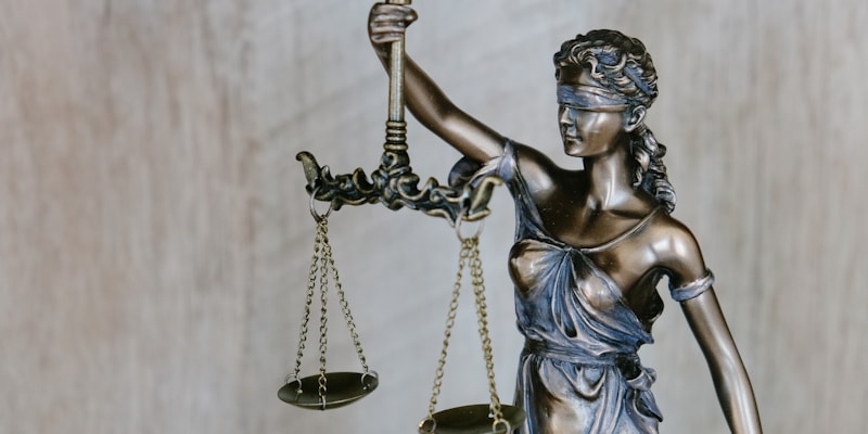 法律后果和责任